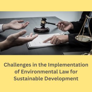 Challenges in the Implementation of Environmental Law for Sustainable Development